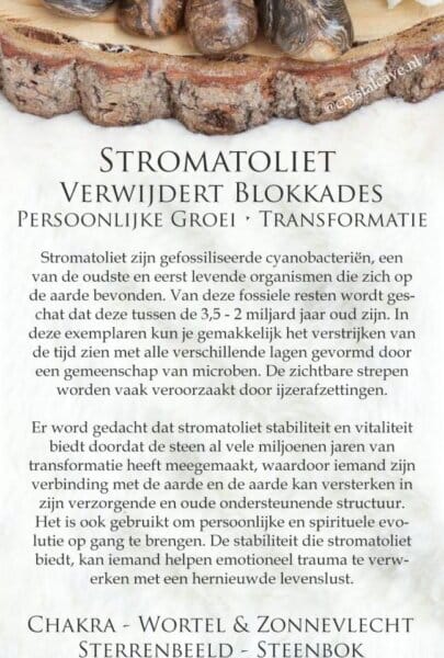 Stromatoliet edelsteen kaartje - Crystal Cave