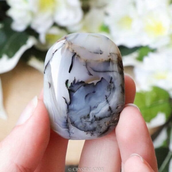 Dendriet agaat cabochon - Crystal Cave