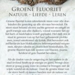 Groene fluoriet edelsteen kaartje - Crystal Cave