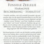 fossiele zeelelie betekenis