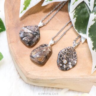 Turitella agaat ketting zilver - Crystal Cave