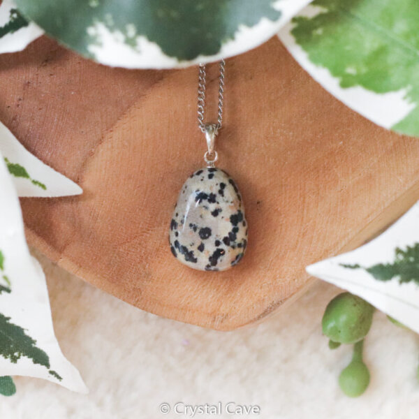 Dalmatier jaspis zilveren ketting - Crystal Cave