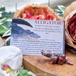 alligator krachtdier