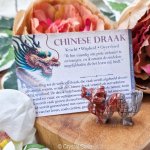 chinese draak krachtdier